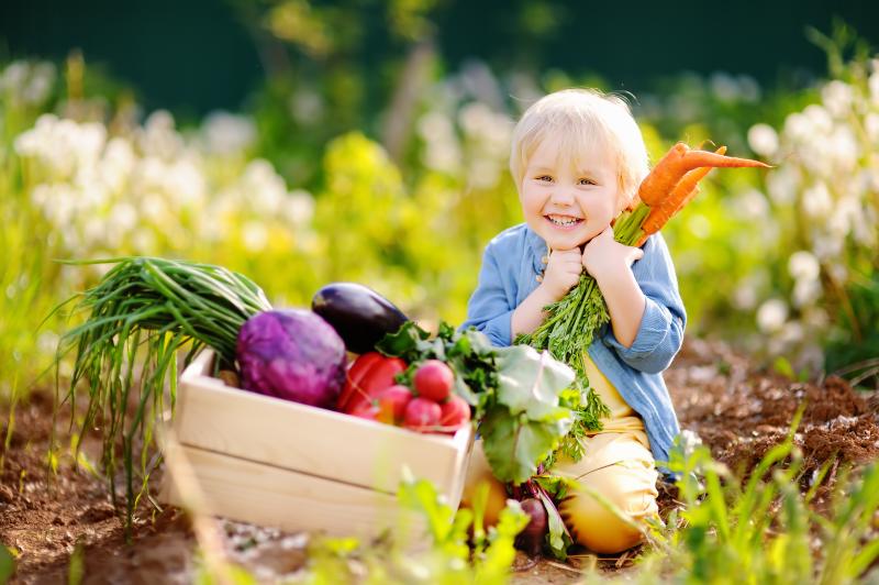 Jubilee Community Supported Agriculture (CSA) Program with Kmiec Farm